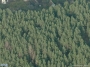 Viršupio Sodų 5-oji g. 52 vaizdas iš aukštai