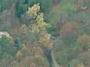 Žaliųjų Ežerų g. 41 vaizdas iš aukštai