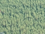Turniškių g. 32A vaizdas iš aukštai