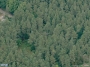 Juodšilių g. 25 vaizdas iš aukštai