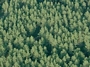 Turniškių g. 29 vaizdas iš aukštai