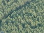 Žaliųjų Ežerų g. 85 vaizdas iš aukštai
