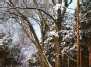 Snow on Vilnius Street