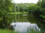 Markučių tvenkinys - Markučiai pond
