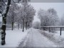 Ozo street in winter