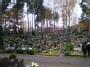 Sudervės kapinės