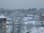 Lithuanian winter (lietuviška žiema)