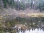 Paslaptingas miško ežerėlis - Mysterious small lake in the forest