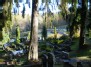 Antakalnio kapinėse -  Antakalnis cemetery