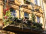 Flowers on the balcony