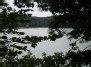 Lapų įvairovė - prie Balsio ežero ( Leaf variety -  The coast of Balsys lake )