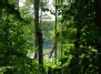 Pro žalią "langą" - Balsio ežeras