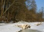 Neris river