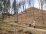 Takelis į Rokantiškių piliavietę - The path leads to the Rokantiškės castle mound