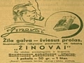 žila galva —