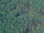 Grybautojų g. 12 vaizdas iš aukštai