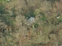 Dirvonų g. 6 vaizdas iš aukštai