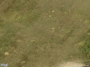 Ragainės g. 26