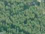 Gelvadiškių g. 1