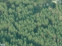 Gelvadiškių g. 2