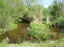 Riešės upelio vingiai - Riešė stream
