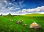 Unseen Vileika - grassland