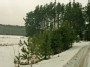 Pakelė