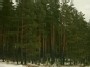 Pakelė