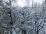 Winter at spring, 2012-04-05