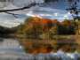 SWAN LAKE. Vilnius. Jeruzale.