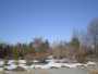 Pavasaris: ateinu! - The spring: I am coming! (3)