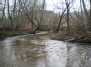 Riešės upelis - Riešė creek