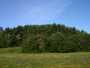 Pamiškė