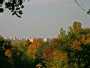 Vilniaus panorama
