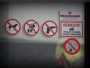 NIGHT-CLUB RULES