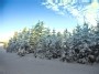 Winter,winter