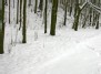 Takas