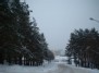 Lazdynu street (winter)