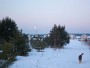 Winter morning moon