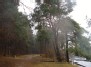 Rainy day...