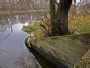 Pakrantė