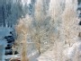 Winter in Virsuliskes