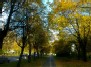 autumn in Minties street, Vilnius