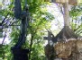 Vilnius - the Ross Cemetery /Wilno - cmentarz na Rossie/