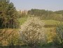 Šeškinės hills