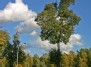 Olimpiečių gatvė