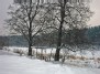 Neris river