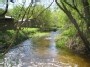 Riešės upelis - Riešė stream