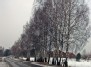 Čekoniškių gatvė
