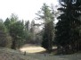 Mountain in Antakalnis forest, Vilnius, Lithuania.